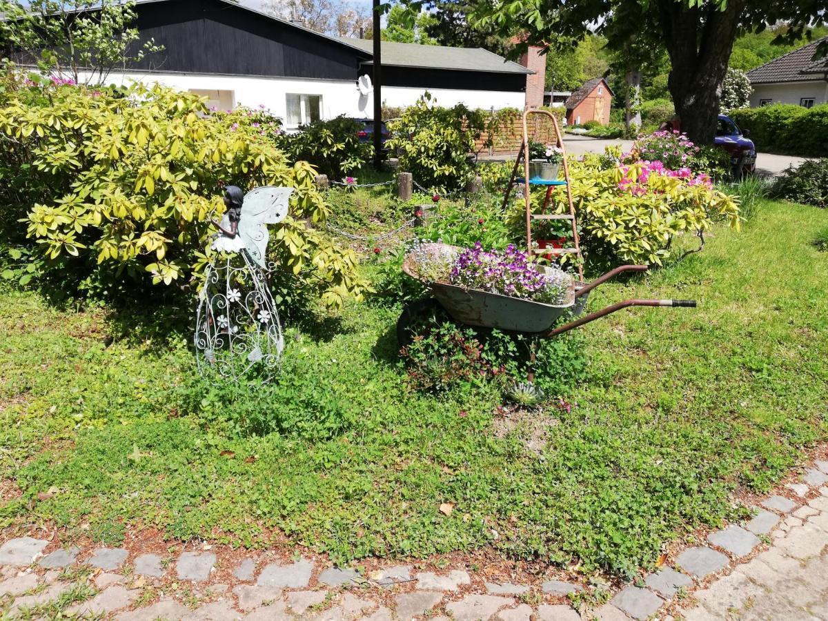 Hasenstall Rehburg-Loccum Exterior foto